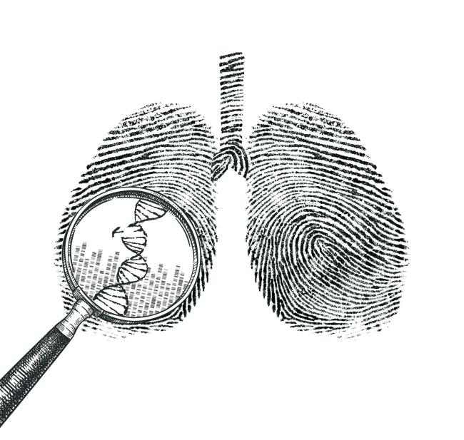 Image of lungs