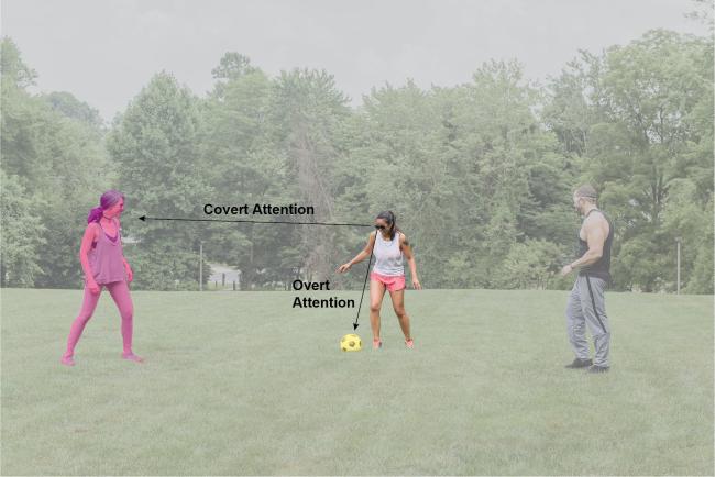 Image of soccer players on a field