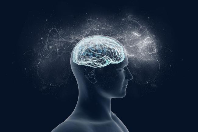 20231031-brain.jpg Artistic illustration of human brain implying vast complexity and capabilities.