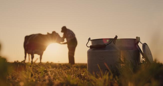 Silhouette of a farmer standing with a cow, with milk cans in the foreground.