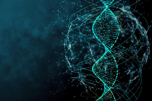 20240611-genese-brain.jpg Illustration of DNA molecule with connecting networks and swirls all around it.