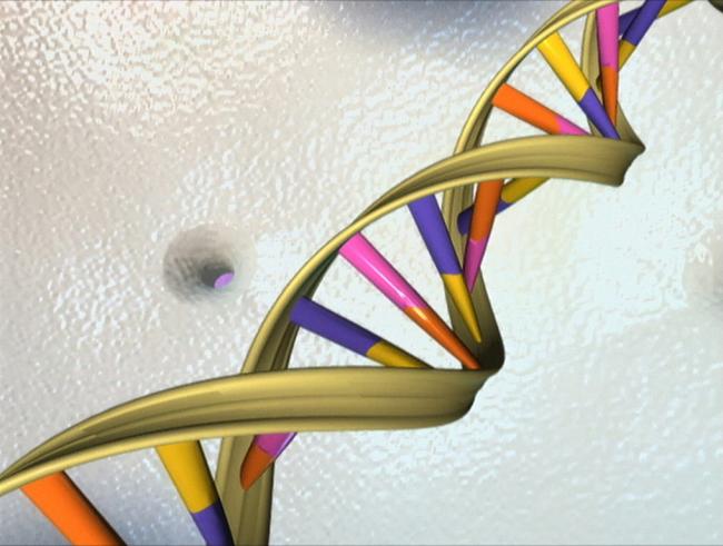 DNA Double Helix