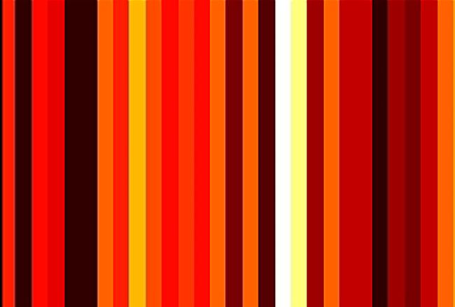 Depiction of mouse brain neuron activity during rapid eye movement sleep.