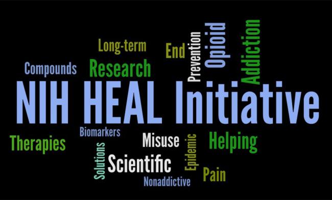 HEAL Initiative word cloud