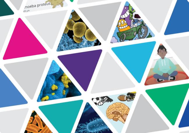 Rows of triangles alternating colors and images of NIH’s STEM activities, including cartoon characters, molecules, and other parts of the body.