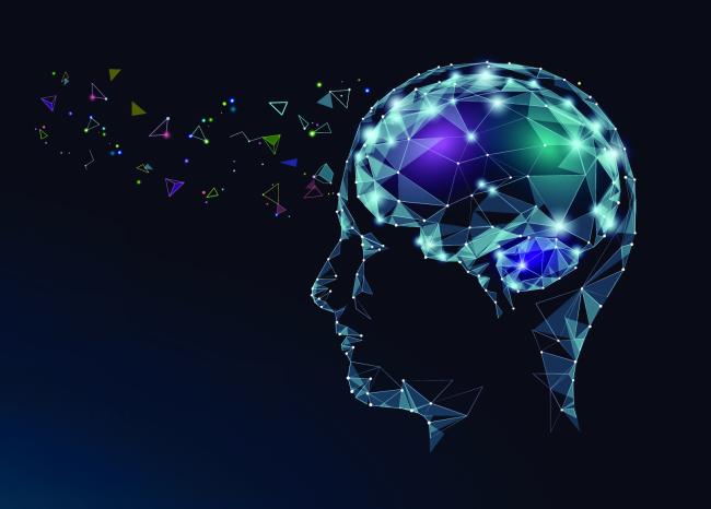 Abstract illustration of a brain with various small objects going into it.