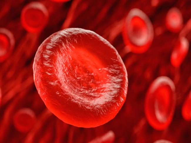 拡張臍帯血移植により重度再生不良性貧血患者の生存率94%を達成