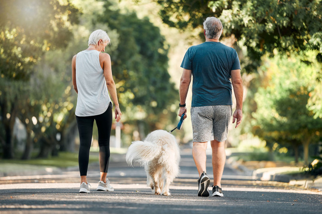 Senior man and woman walking a dog outside in a park, exercising.