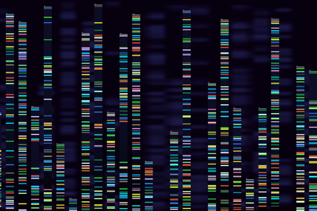 Genomic analysis visualization.