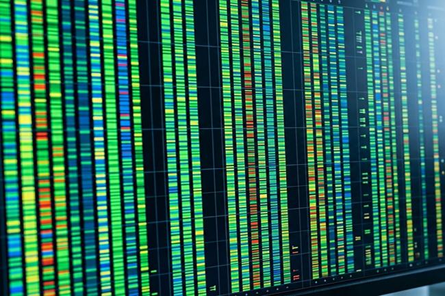 Close-up of a gene