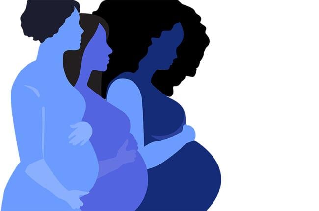 Connecting the Community for Maternal Health Challenge: Research Capacity Building in Maternity Care Deserts (CCMH 2.0)