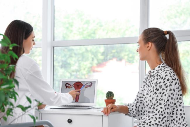 Doctor shows patient a diagram of the female reproductive tract.