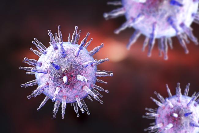 Illustration of Epstein-Barr virus 