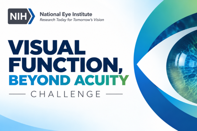 National Eye Institute graphic for the Visual Function, Beyond Acuity Challenge, featuring a close-up of a blue-green eye framed by stylized blue and green shapes.