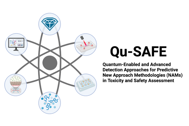 Qu-SAFE: Quantum-enabled and advanced detection approaches for predictive new approach methodologies (NAMs) in toxicity and safety assessment