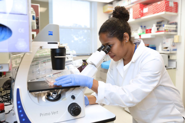 Photo of a researcher at a microscope