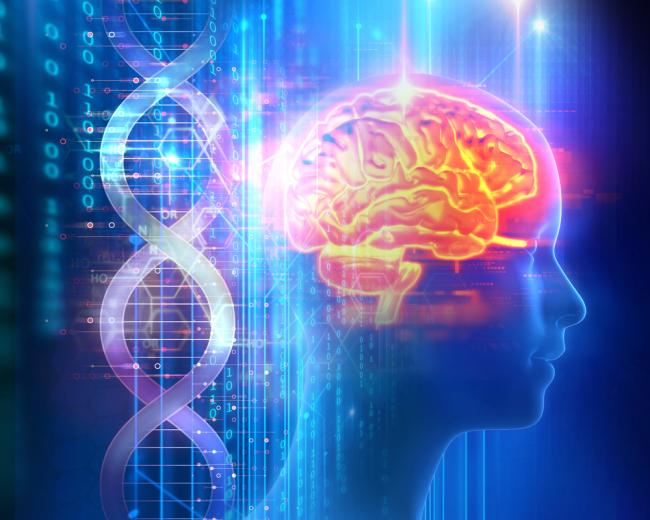 Illustration of human brain and enlarged DNA strands