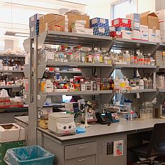 Lab benches in use in the Porter building