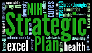NIH Strategic Plan word cloud.
