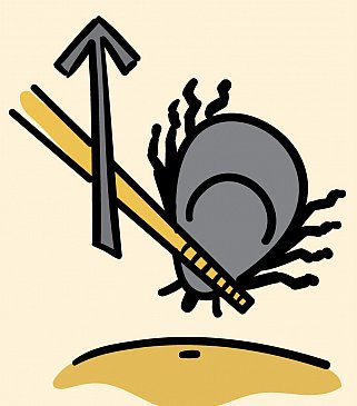 Illustration of a tick being grasped by tweezers and lifted from the skin’s surface