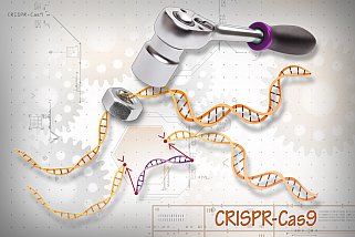 CRISPR-Cas9