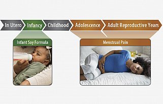 Research found that African-American infant girls that were fed soy formula were more likely to experience severe menstrual pain as young adults. 