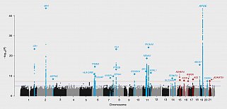 Newly identified (red) and known (blue) genes linked to Alzheimer’s disease spike in this table plotting results from genome-wide association analysis of 94,437 individuals with late onset Alzheimer’s.Kunkle et al and Nature Genetics.