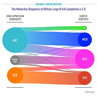 Subgroups of DLBCL were defined by gene expression several years ago (left). Genetic subtypes identified in the new study (right) each share a group of genetic aberrations. Curved connectors indicate relationships between the subgroups and subtypes. 