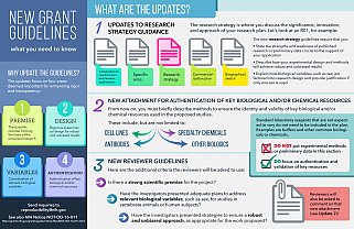 Grant Guidelines Infographic.