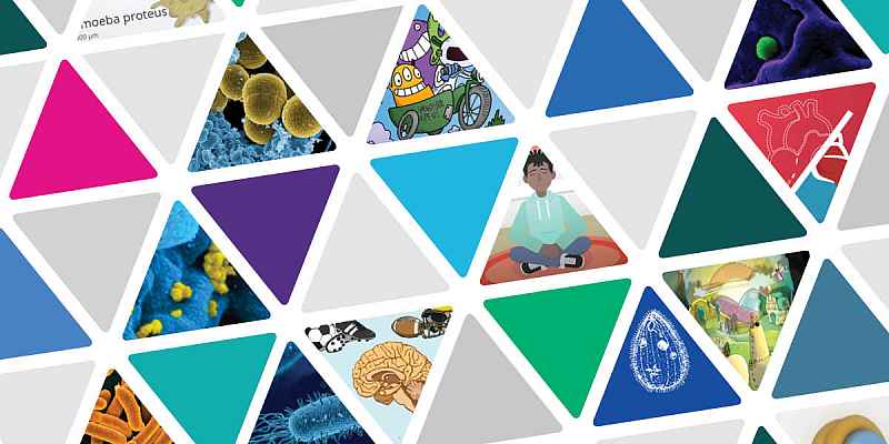 Rows of triangles alternating colors and images of NIH’s STEM activities, including cartoon characters, molecules, and other parts of the body.
