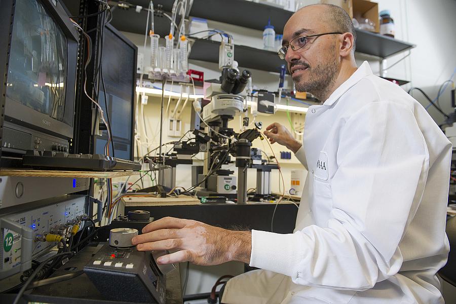 Measuring dopamine release