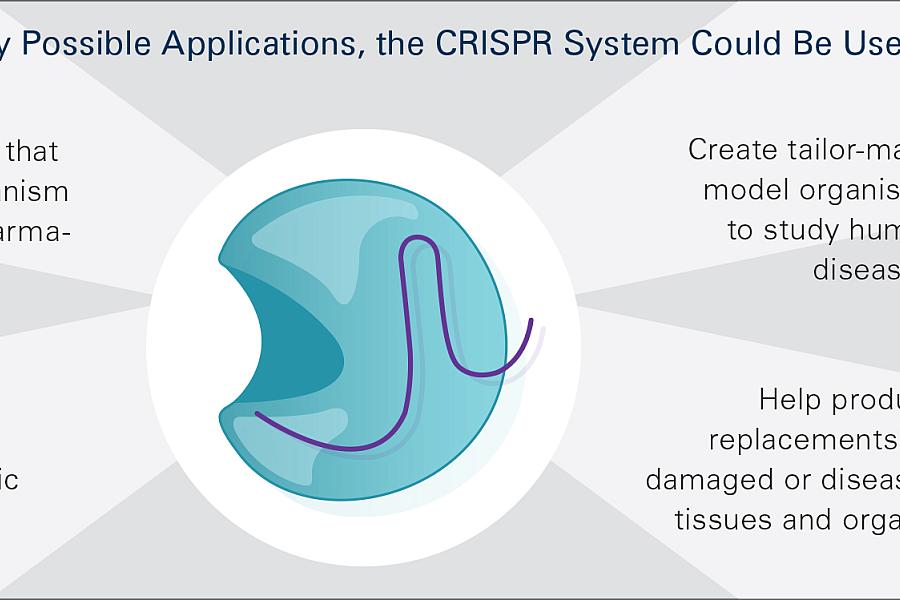 CRISPR has many possible applications