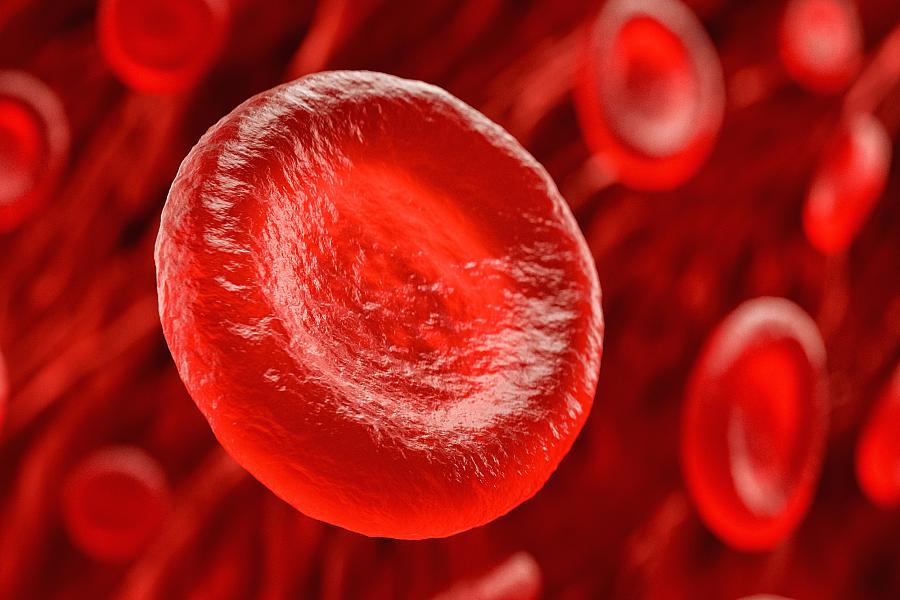 3D illustration of red blood cells