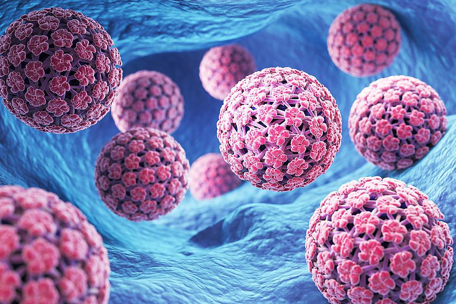 3D illustration of human papillomavirus. 