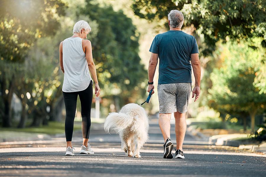 Senior man and woman walking a dog outside in a park, exercising.