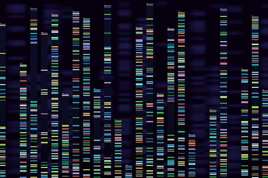 Genomic analysis visualization