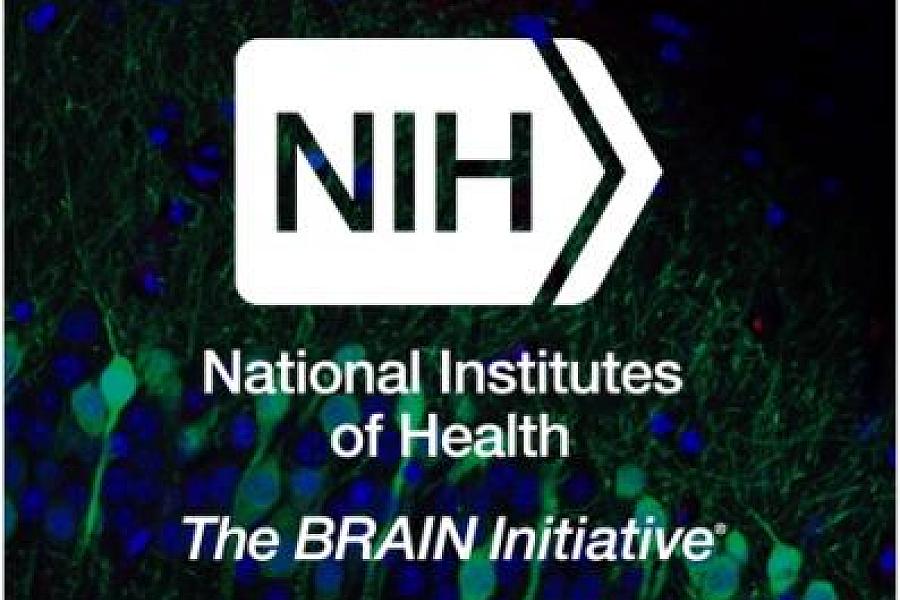 The BRAIN Initiative, NIH