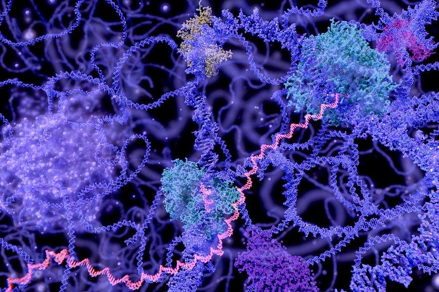 Multi-colored illustration of DNA in the nucleus of a cell.