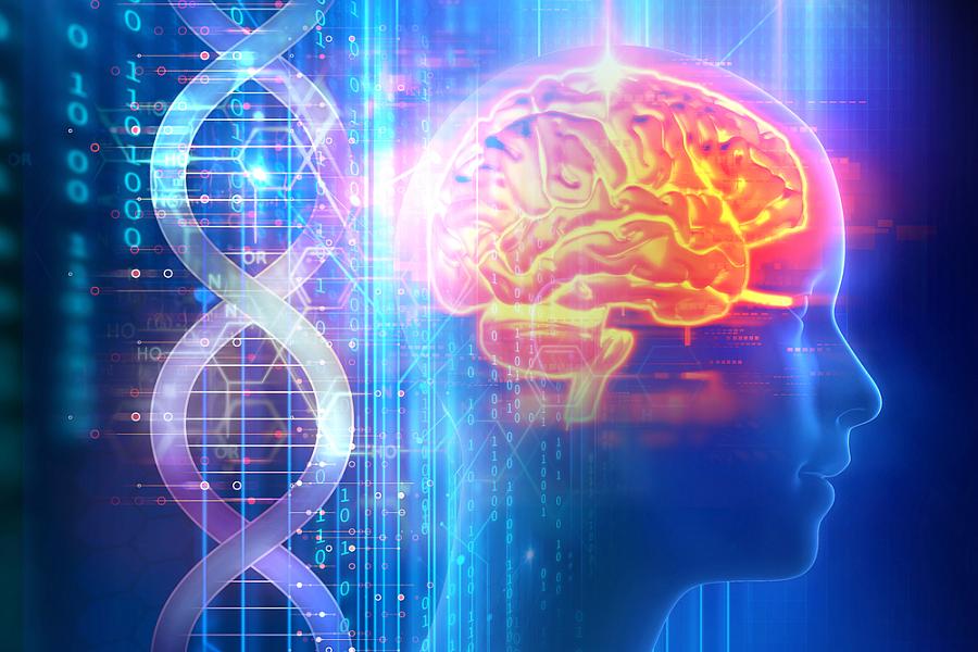 Illustration of human brain and enlarged DNA strands