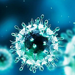 H1N1 virus