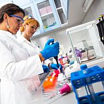 Image of lab workers
