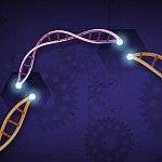 Illustration of CRISPR Cas9