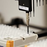 Robotic tips are shown collecting DNA samples for genotyping. The tips are automatically cleaned after each collected sample to prevent contamination.