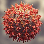 Microscopic view coronavirus omicron variant
