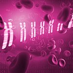 Conceptual image of blood cells on a hot pink background, along with chromosomes.