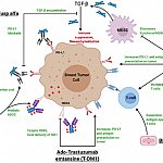 Immunotherapy agents