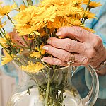 Hands with arthritis arranging flowers in a glass vase.