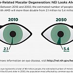 An info graphic with AMD statistics