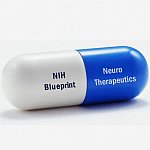 Logo of NIH’s Blueprint Neurotherapeutics Program