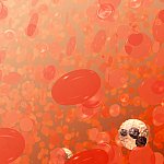 Red Blood Cells Illustration